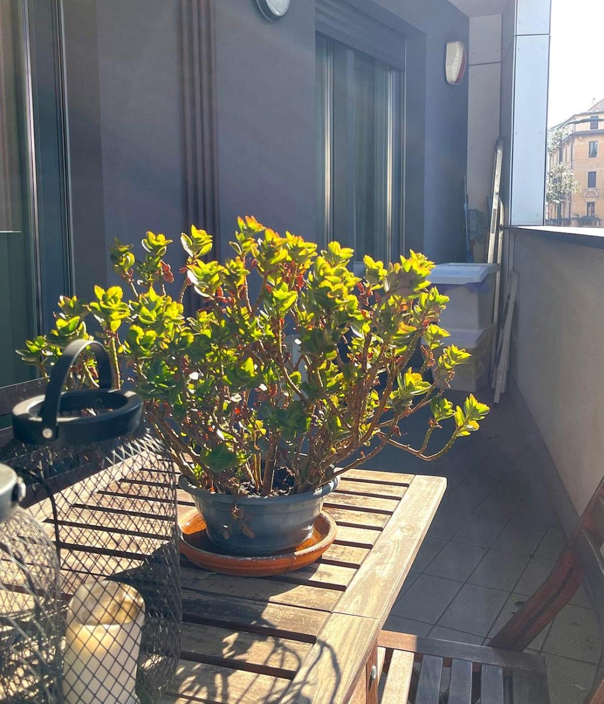 Suite Porta Romana Milán Exteriér fotografie
